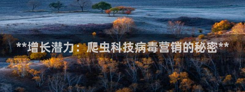 金年会电子游戏—2023全球木材与木制品大会