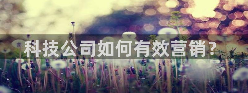 金年会体育平台合法吗