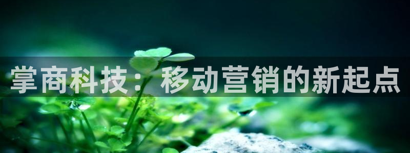 金年会体育app官网86