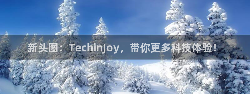 金年会电子游戏