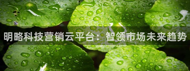 金年会体育网app下载