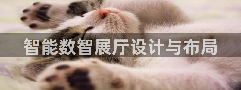 金年会pg电子官网首页