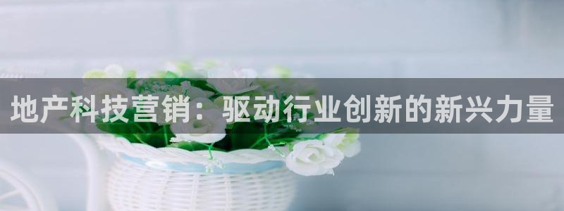 金年会赌博app平台可靠吗安全吗