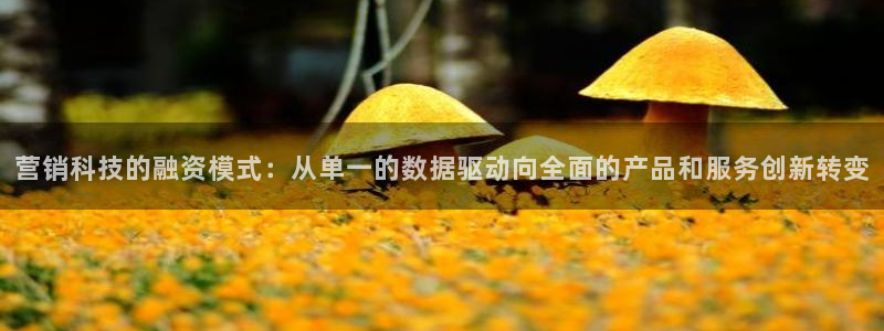 金年会下载官方