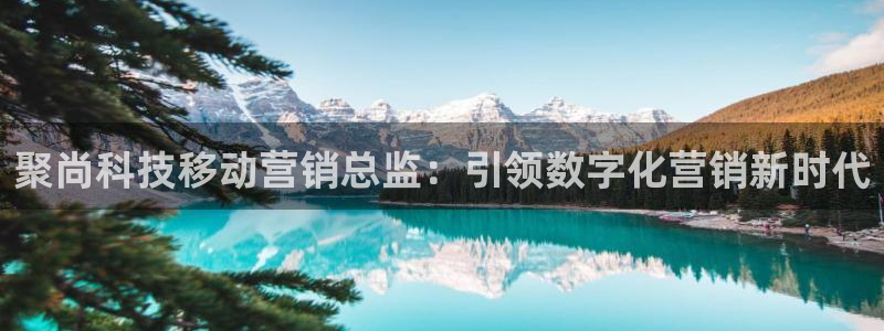 金年会体育app官网入口