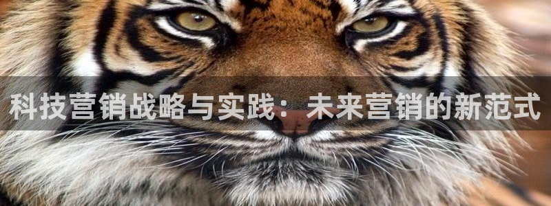 金年会金字招牌下载