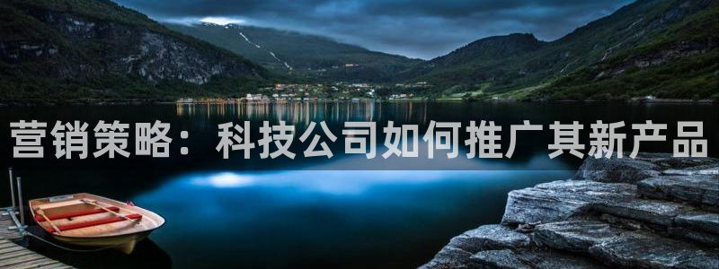 金年会网址有吗