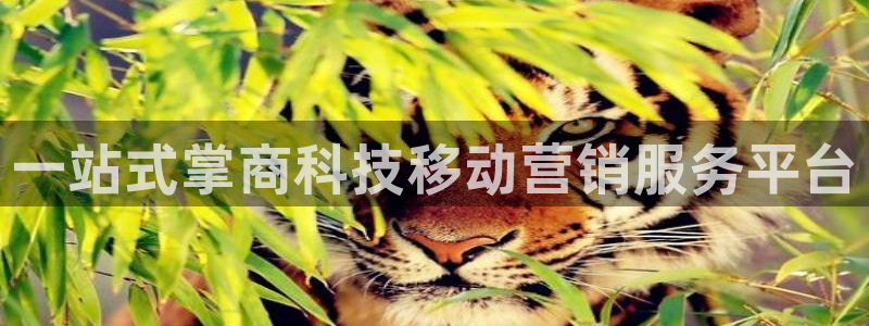 金年会官方下载app