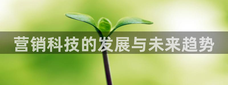 金年会能赢吗