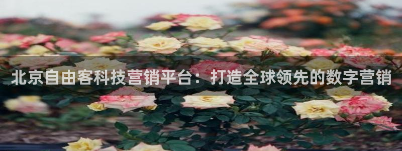 金年会体育是黑台子吗