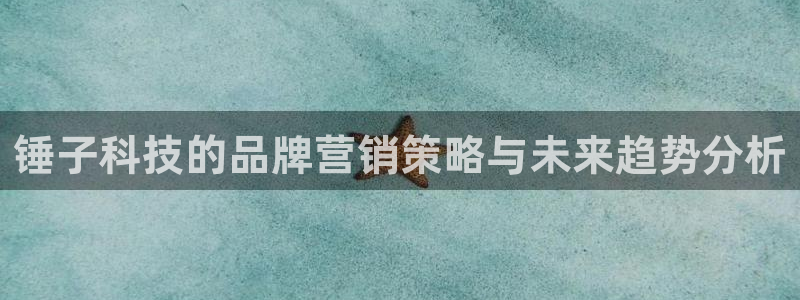 金年会体育app下载官网苹果版