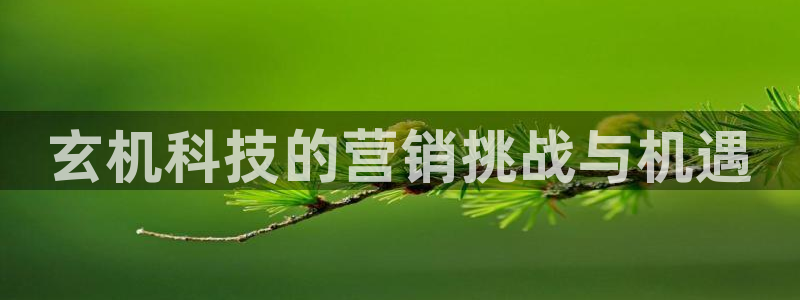 金年会mg官方在线电子游戏