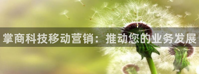 金年会体育平台合法吗