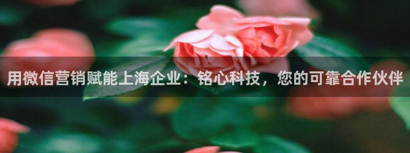 金年会app官网下载