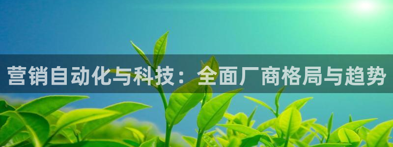 金年会官方网址是什么