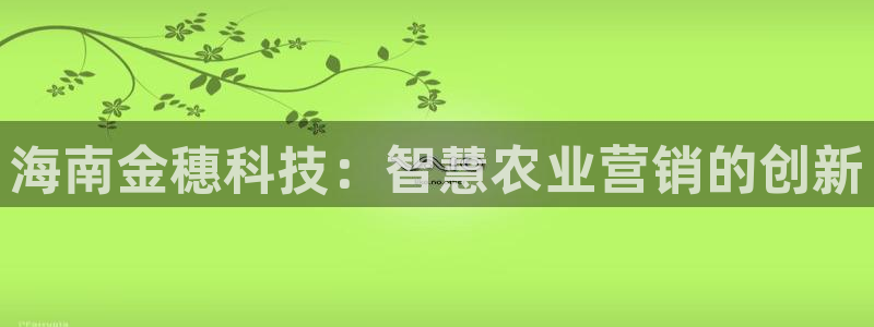 金年会网站事件后果