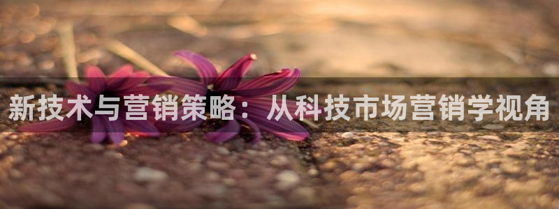金年会网址