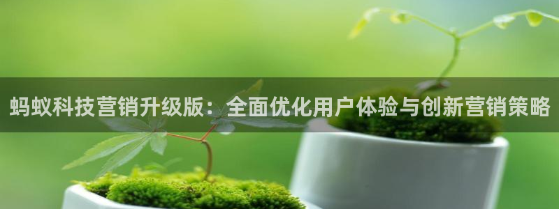 金年会官方在线入口网址是多少号