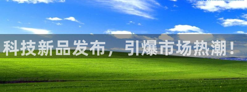 金年会官方入口网站下载
