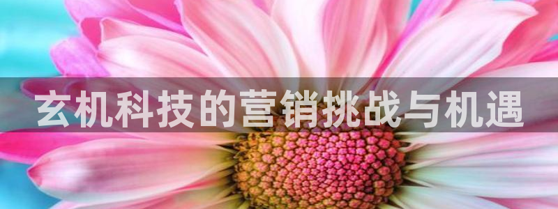 金年会app官方网站