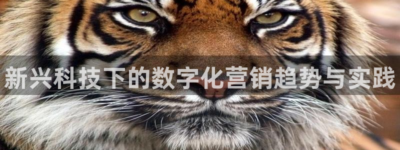 金年会官方app下载安装