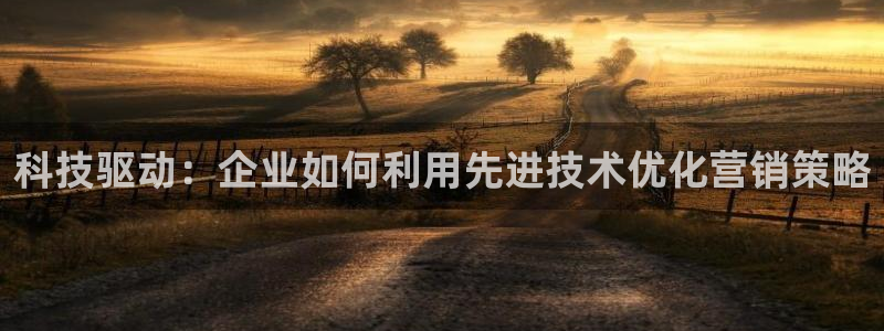 金年会黑平台不给出款
