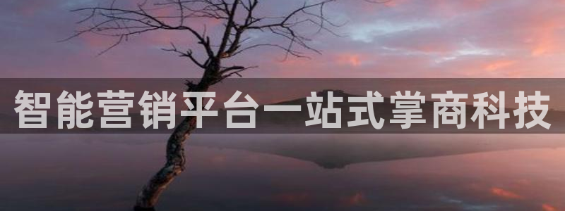 金年会网站稳不稳