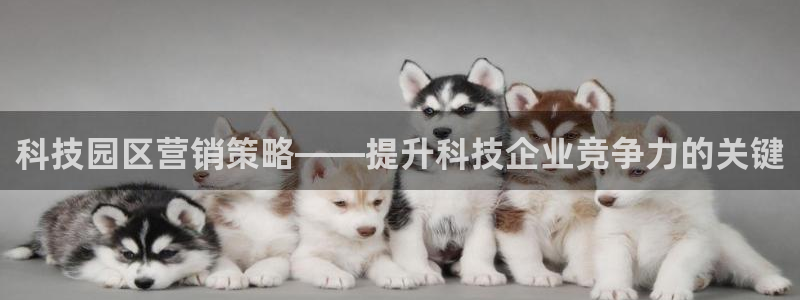 金年会官方体育