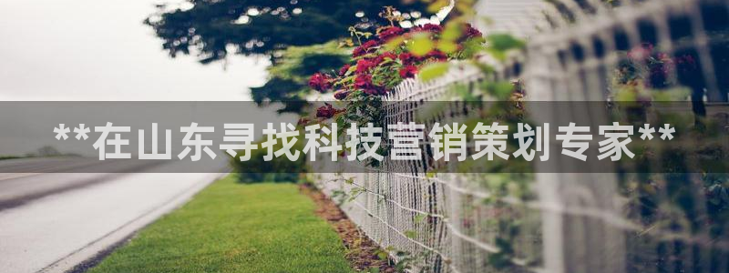 金年会网站入口官网