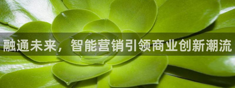 金年会pg麻将胡了