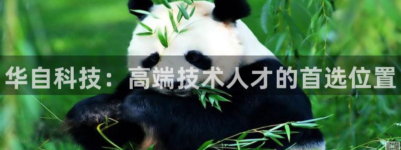 金年会App是不是钓鱼软件