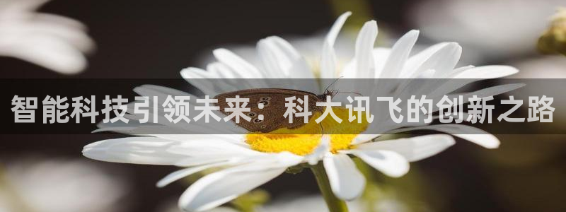 金年会入口