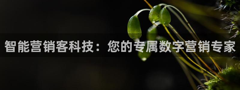 金年会金字招牌信誉至上