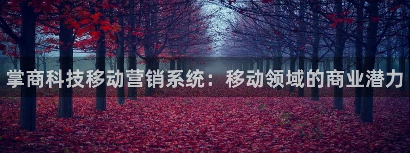 jinnian金年会体育在线入口