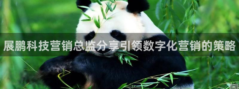 金年会体育娱乐
