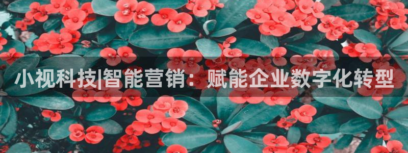 金年会体育出款被要求安全认证怎么办
