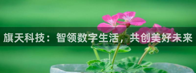 金年会电子游泳app