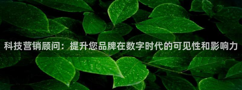 金年会体育网站