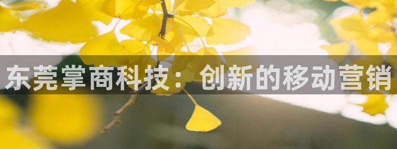 金年会网站被拒绝出款怎么处理?