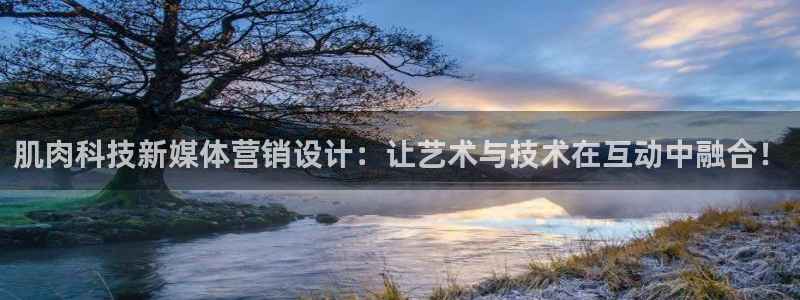 金年会体育app入口