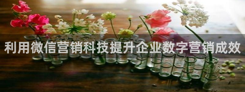 金年会手机版官方网站