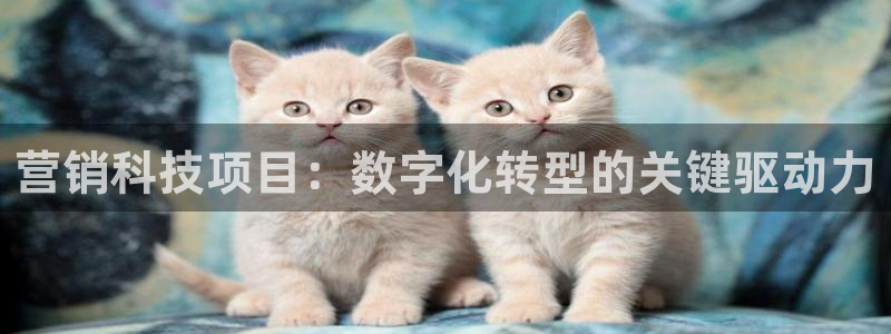 金年会手机版下载