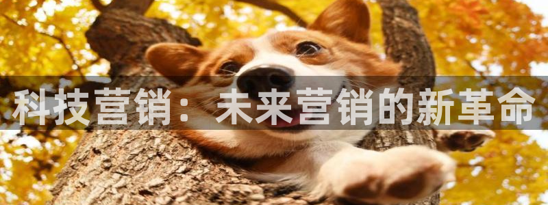金年会网站
