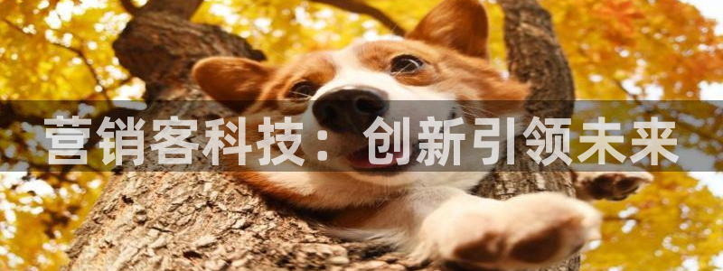金年会电子官网下载