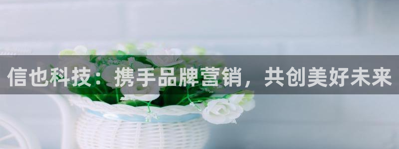 金年会体育app入口