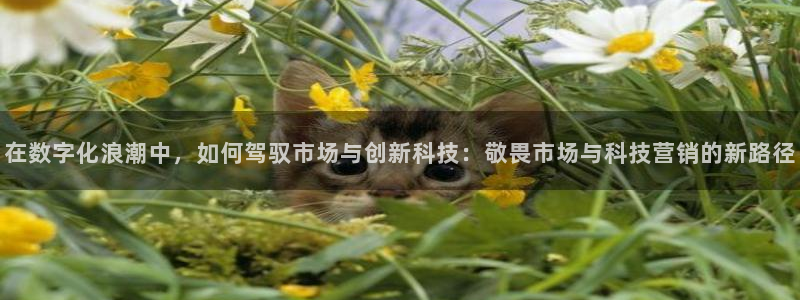金年会电子游戏怎么玩