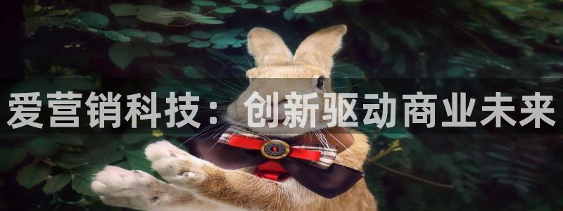 jinnianhui金年会世界杯