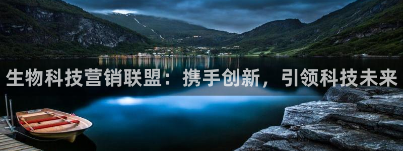 金年会网站洗黑钱
