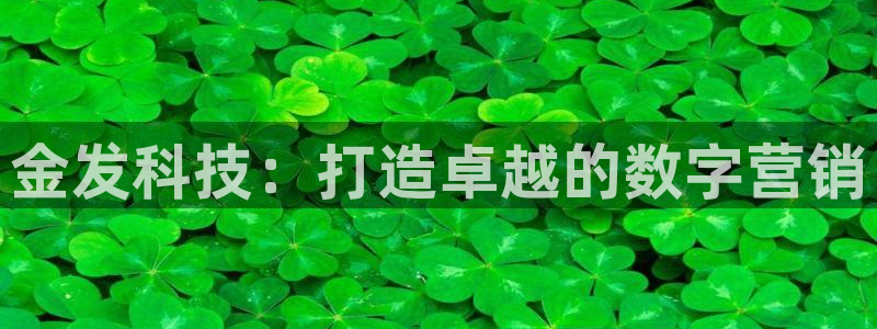 金年会官方入口2023