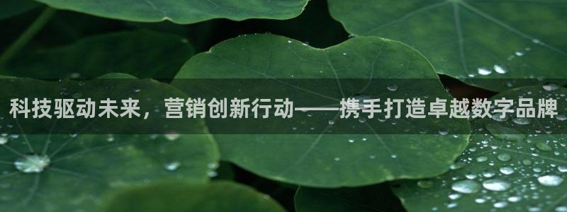 金年会电子游戏app官方网站